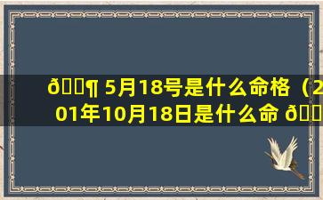 🐶 5月18号是什么命格（2001年10月18日是什么命 🌸 格）